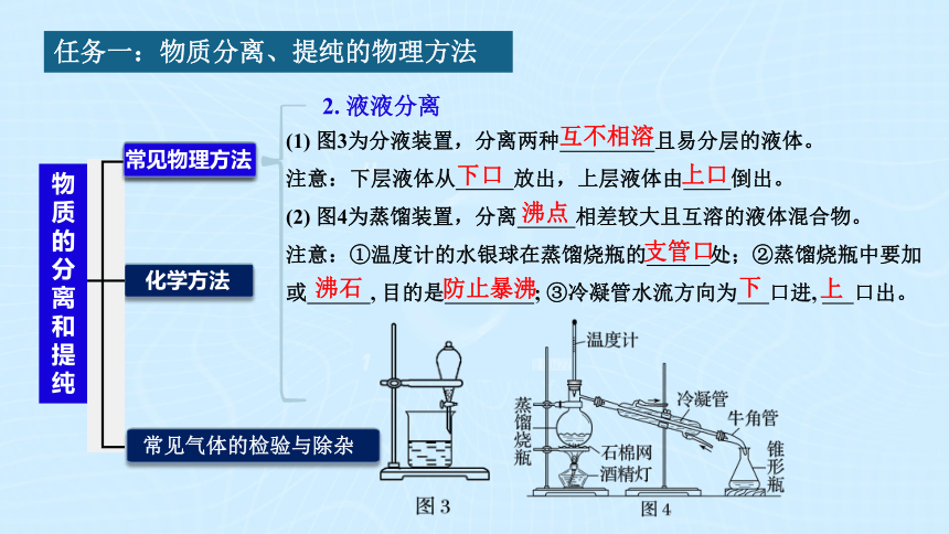 2023届高三化学一轮复习化学实验《物质的分离和提纯》（36张PPT）