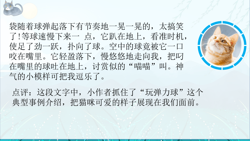 部编版语文四年级下册第四单元习作：我的动物朋友  课件 (共13张PPT)