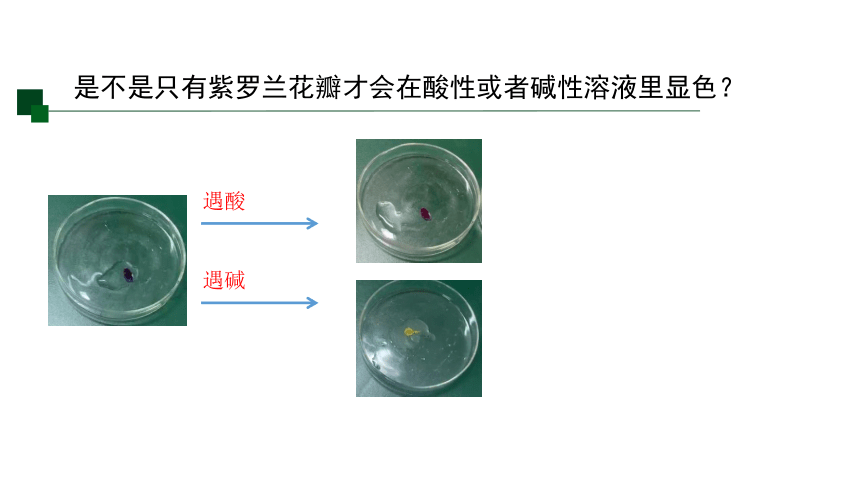 1.2 物质的酸碱性 第二课时（课件 14张PPT)