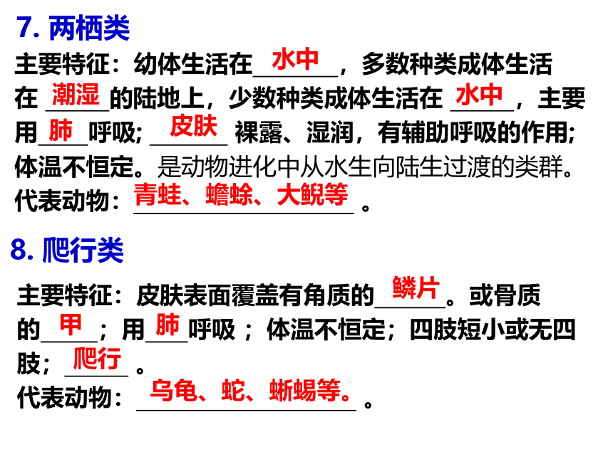 2021--2022学年冀少版生物七年级上册1.4 多种多样的动物 复习课件(共12张PPT)