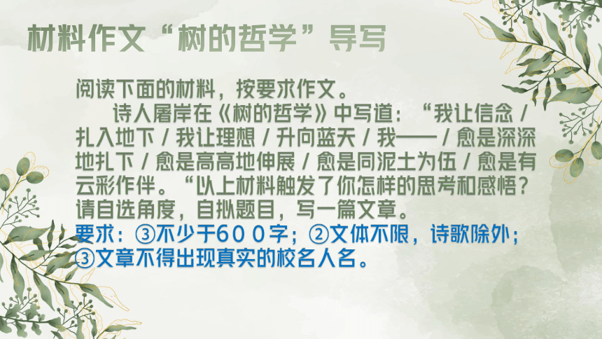 2022年中考语文二轮复习  “树的哲学”作文指导  课件(共19张PPT)