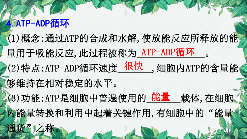 浙科版（2019）生物必修一 第三章第一节 ATP是细胞内的“能量通货”课件(共31张PPT)