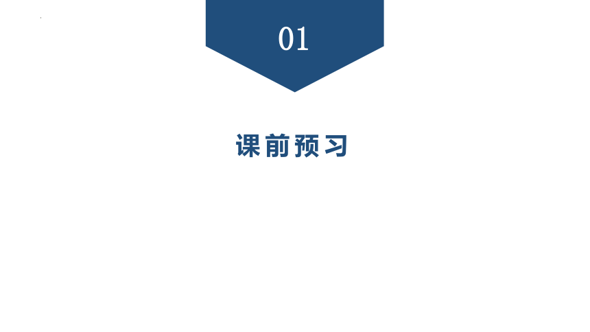 3.1  光世界巡行  习题课件 (共30张PPT) 沪粤版八年级上册