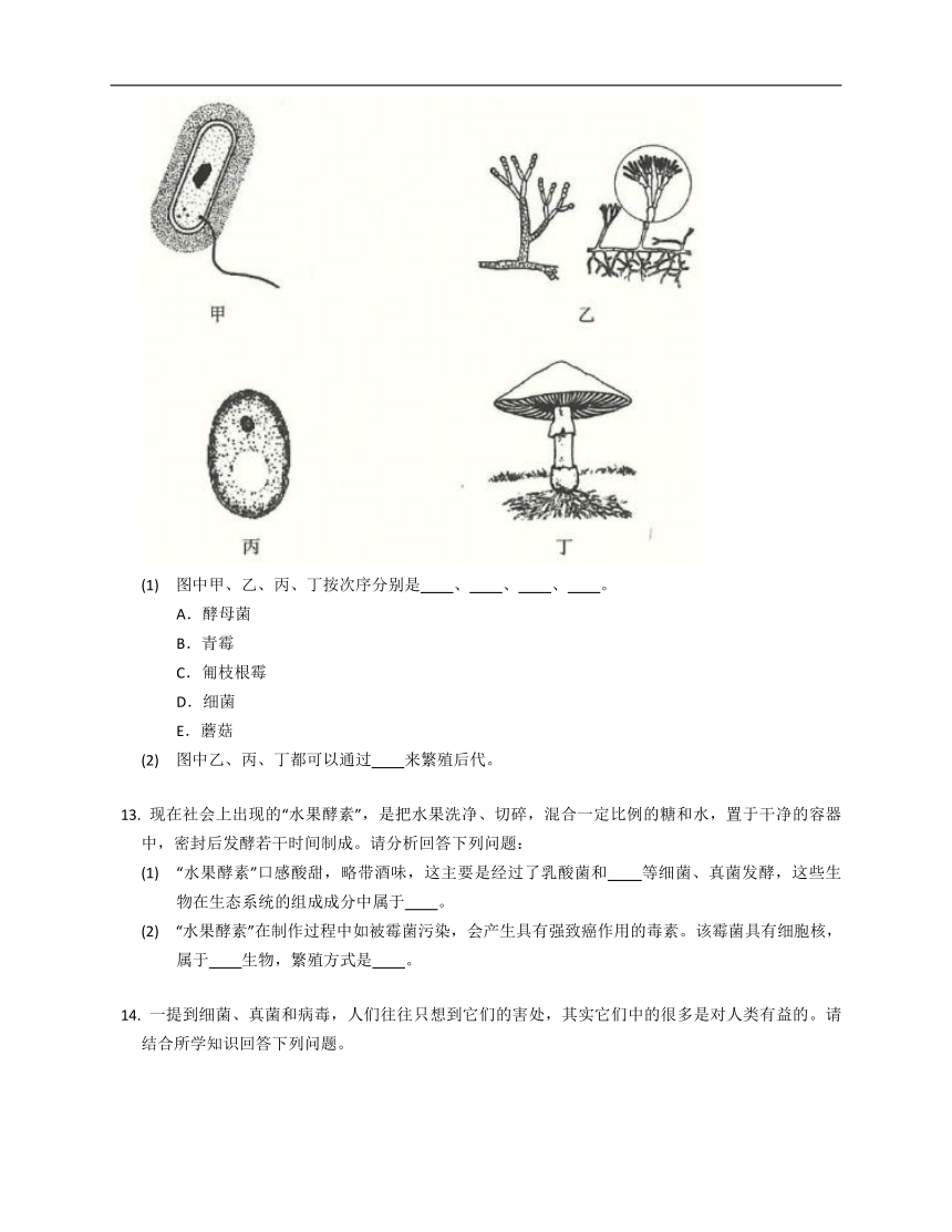 13.5真菌同步练习（含答案）北京版八年级下