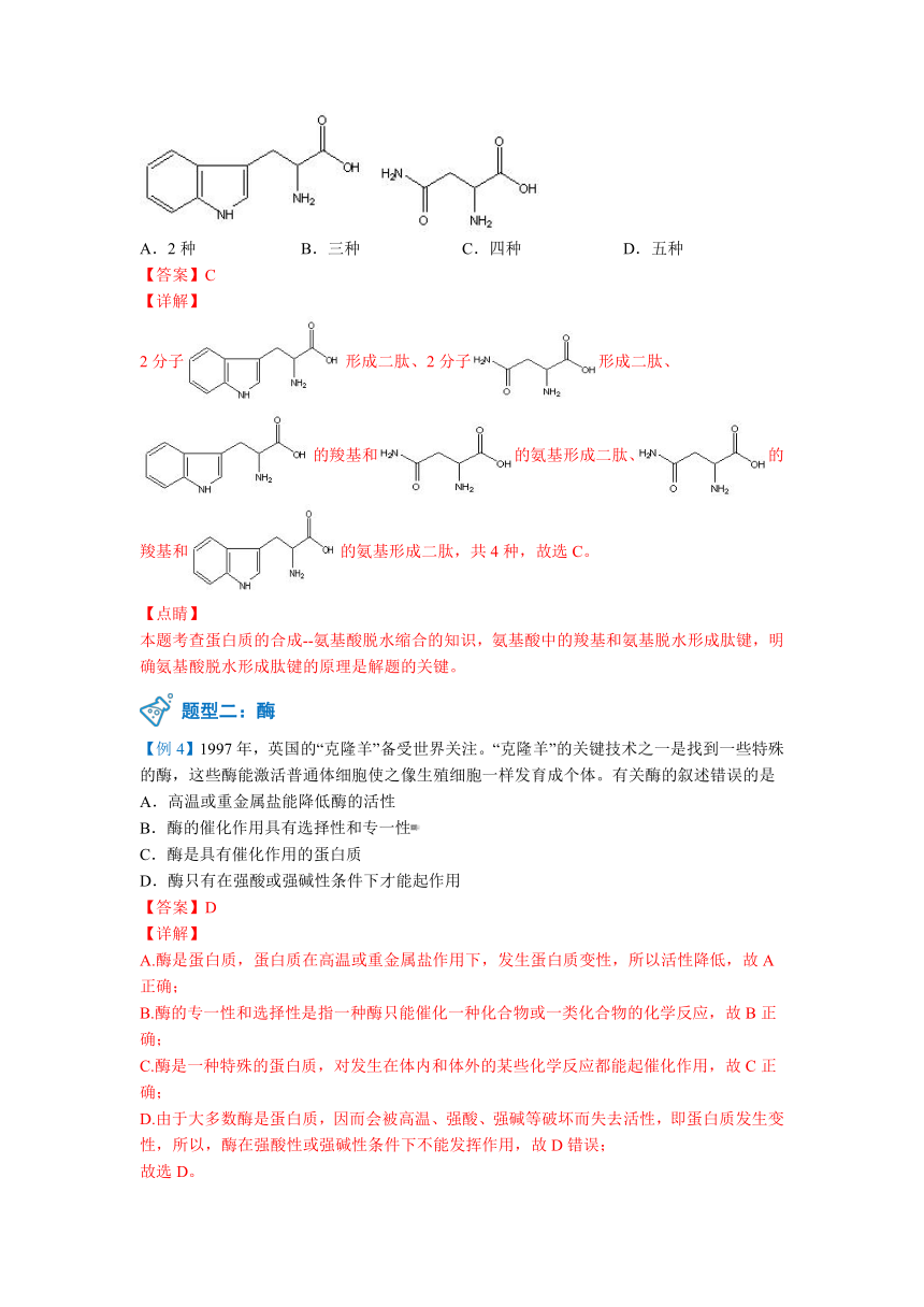 高中化学选择性必修第三册 第24讲 蛋白质 学案（含答案）