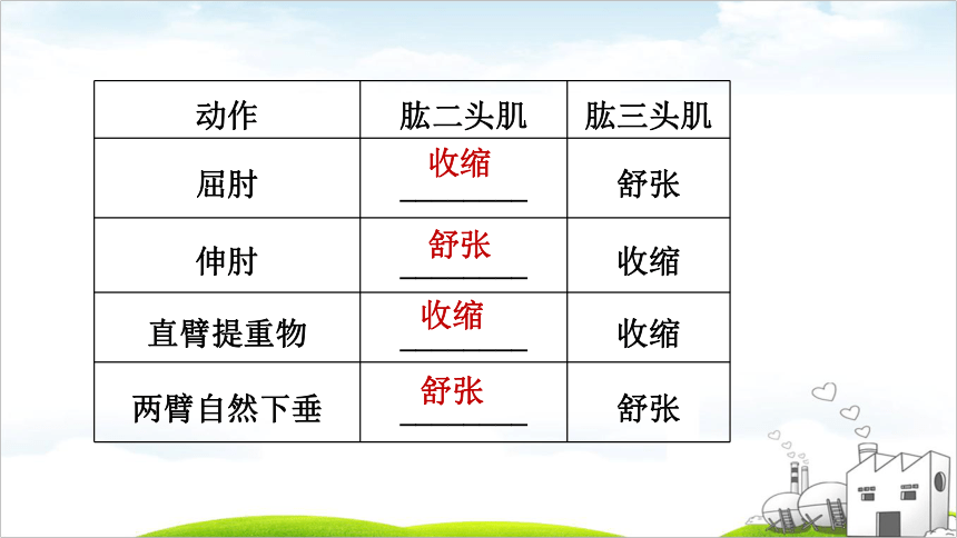 2022年福建中考生物考点梳理第12课时动物的运动和行为（38张PPT）