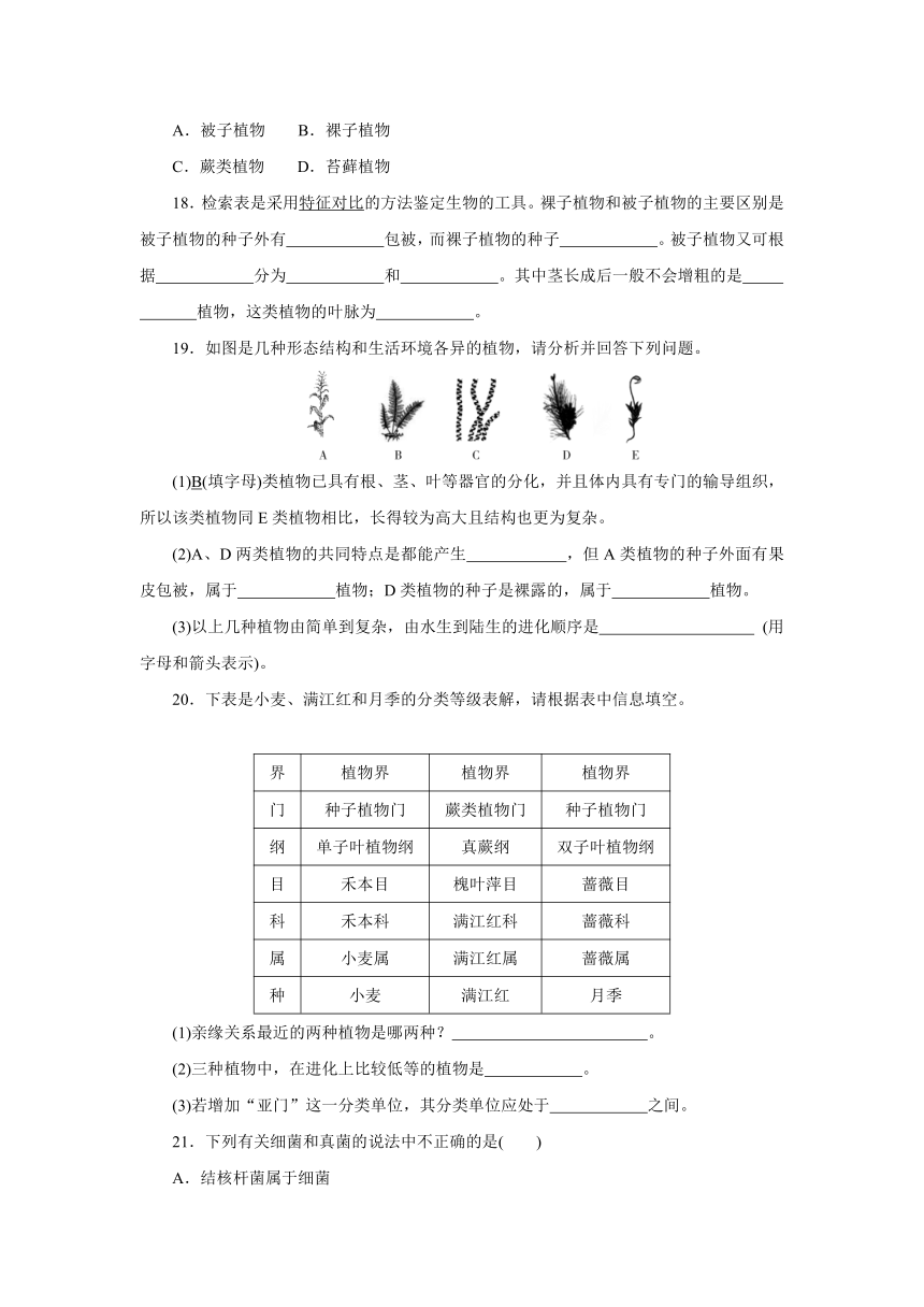 第2章 生物的主要类群 章末复习训练  （含答案）