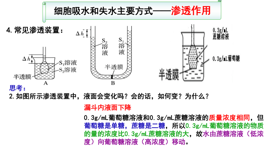 【备考2022一轮复习】&1.4 物质跨膜运输实例及物质运输方式（共52张ppt）