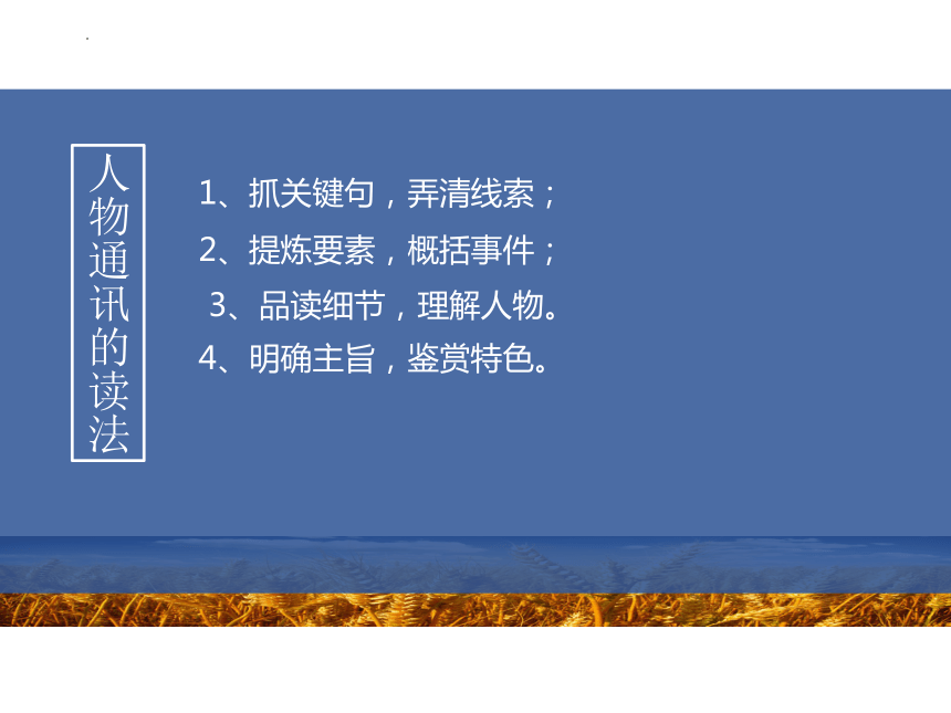 4.1《喜看稻菽千重浪》课件(共33张PPT)+2022-2023学年统编版高中语文必修上册
