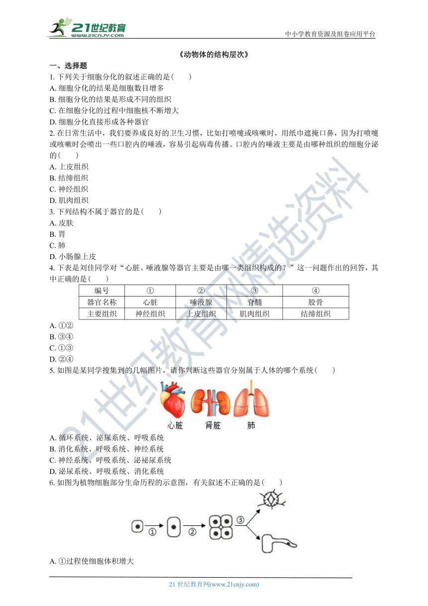 人教版七年级生物上册《动物体的结构层次》同步练习（含答案）