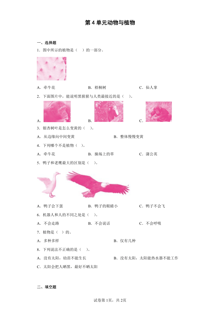 苏教版（2017秋）小学科学一年级下册 第四单元 动物与植物  同步练习 （含答案）