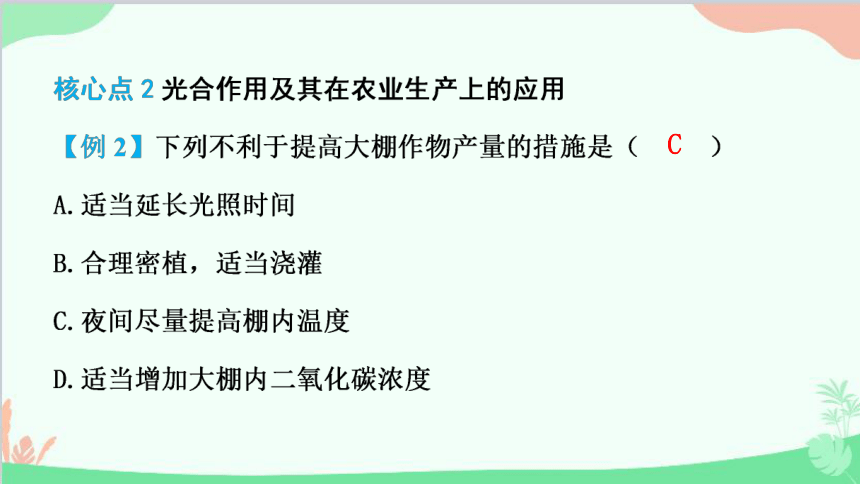 人教版生物七年级上册 3.5.1 光合作用吸收二氧化碳释放氧气 课件 (共28张PPT)