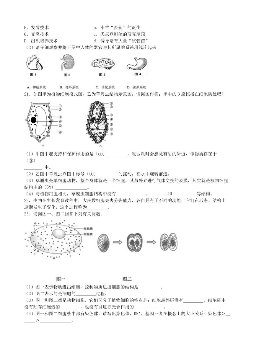 人教版七年级生物上册 2.2细胞怎样构成生物体单元测试（含解析）