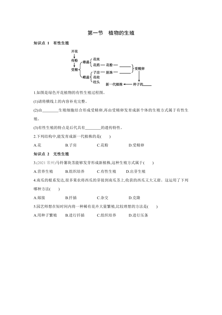 人教版生物学八年级下册同步练习：7.1.1　植物的生殖(word版含答案）