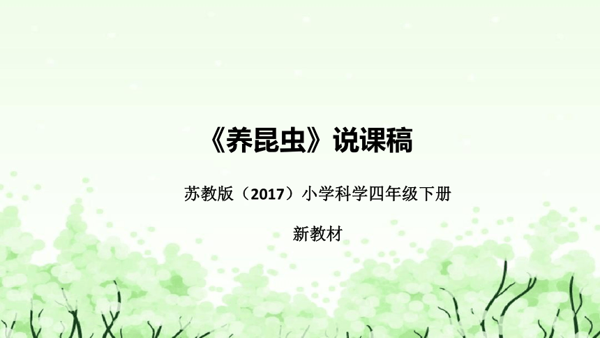 苏教版（2017）小学科学四年下册《养昆虫》说课（附反思、板书）课件(共41张PPT)