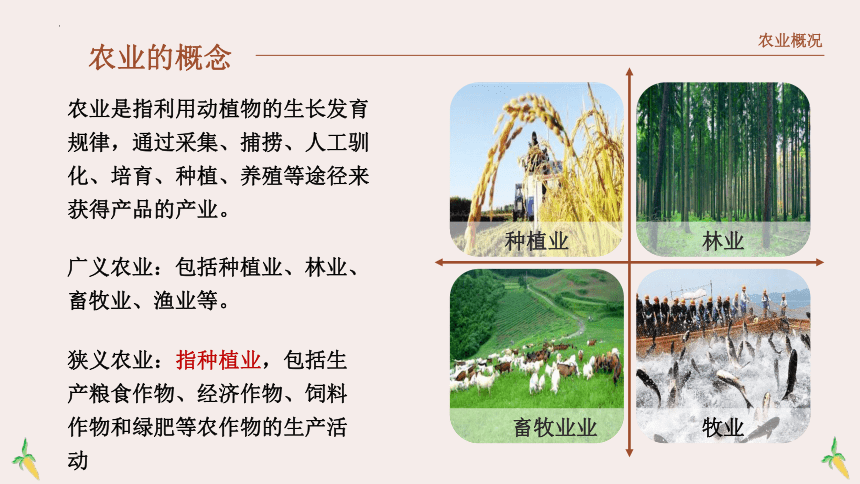 高中地理湘教版（2019）必修第二册3.1农业区位因素与农业布局（共54张ppt）