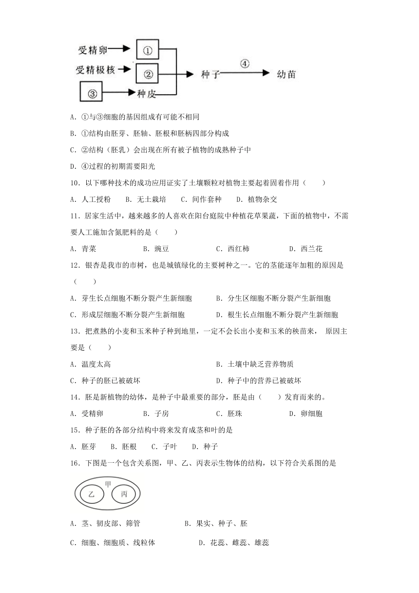 人教版生物七年级上第三单元第二章 被子植物的一生同步测试（word版含答案）