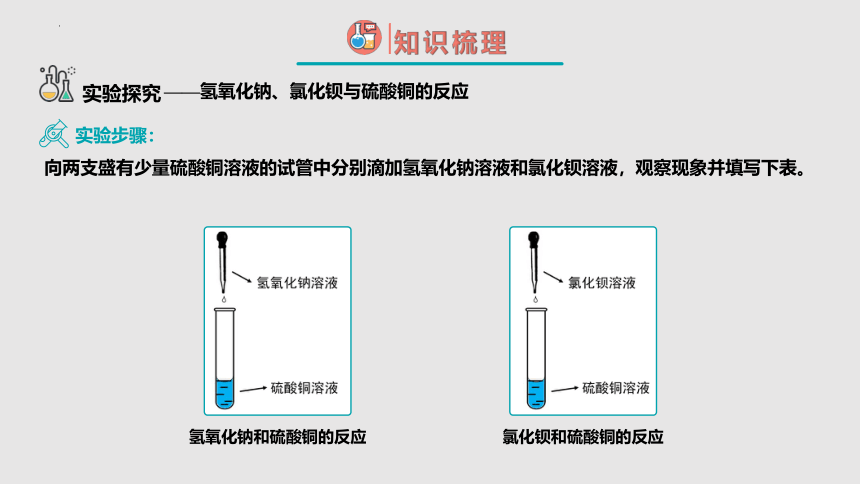 人教版化学九下：11.1 生活中常见的盐（第3课时）课件(共21张PPT)