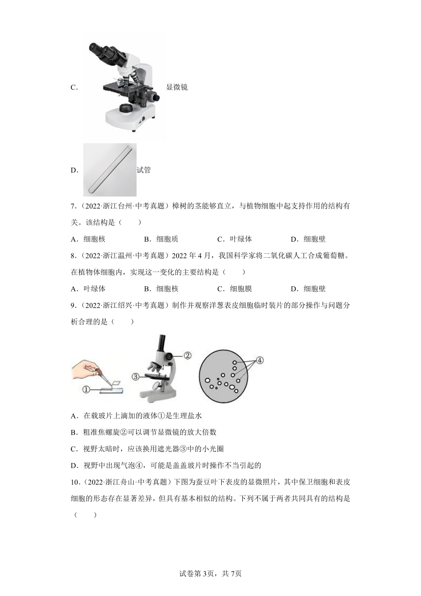 04细胞-浙江省各地区2020-2022中考科学真题汇编（含解析）