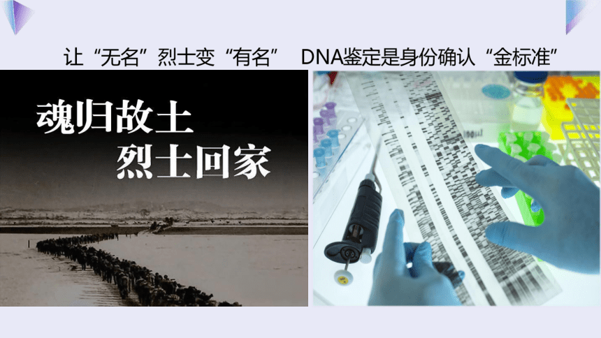 3.2 制作DNA双螺旋结构模型 课件（共19张PPT）