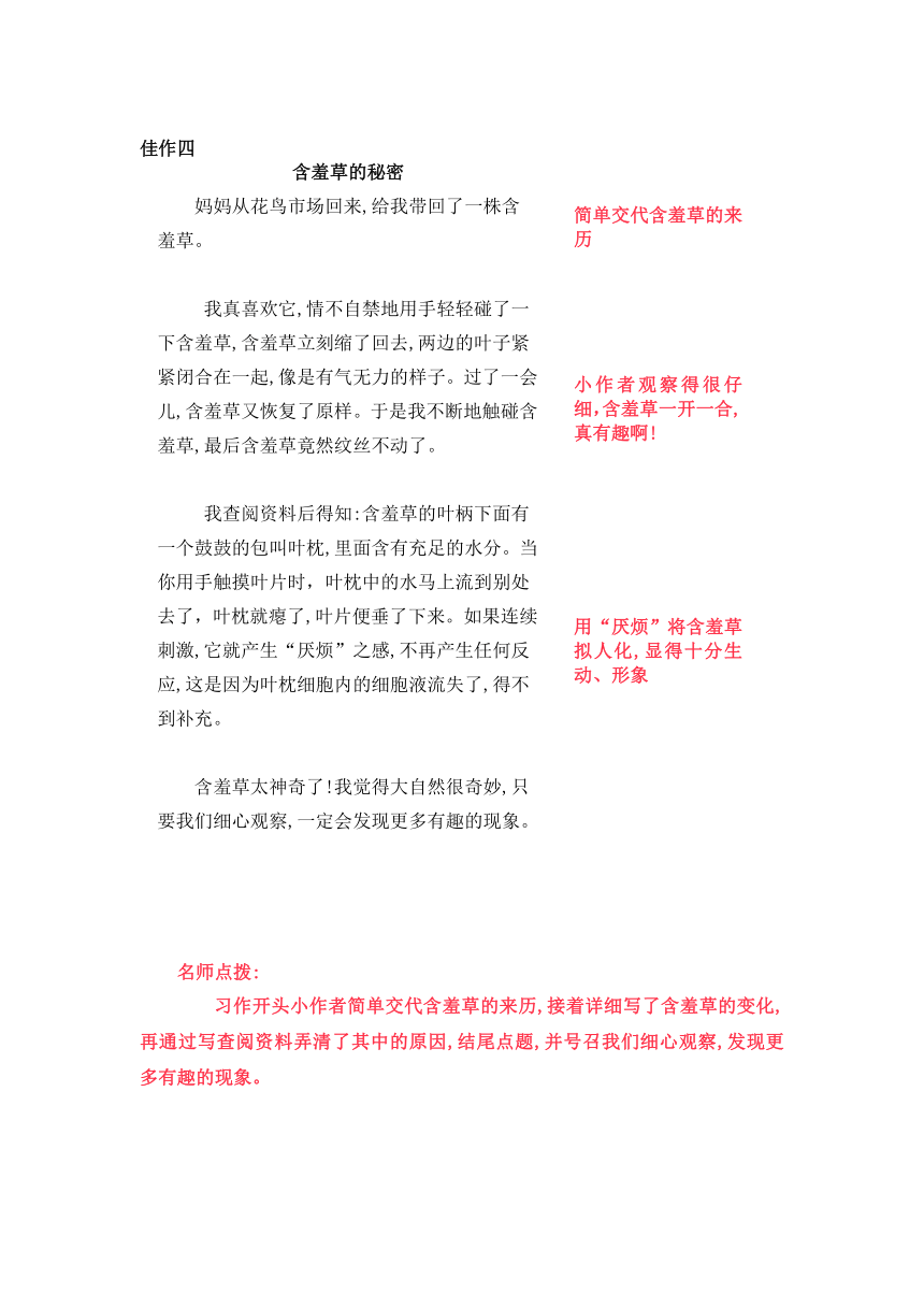 统编版三年级上册第五单元《我们眼中的缤纷世界》习作名师指导和佳作点评（10篇）