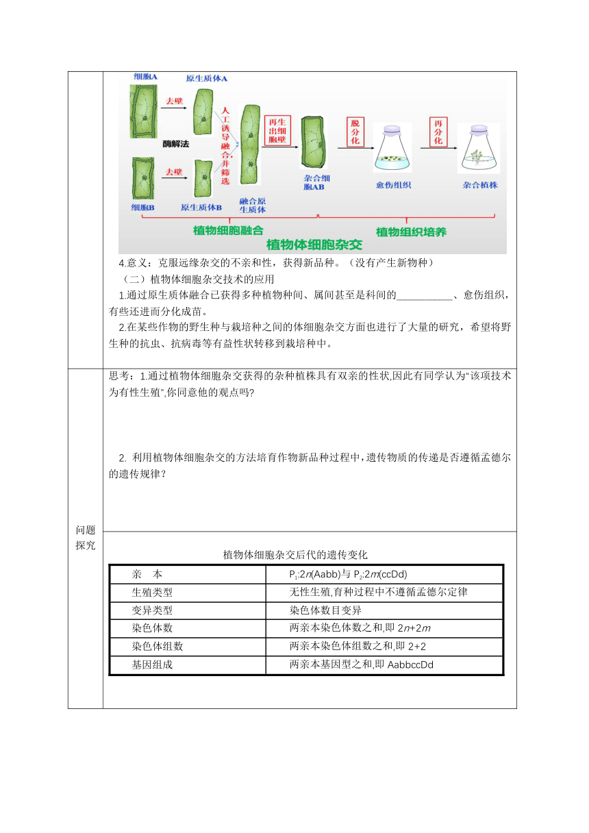 2021-2022学年高二下学期生物浙科版（2019）选择性必修3-2.2通过体细胞杂交可获得新的植物体 学案（无答案）