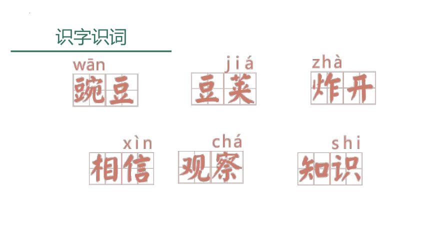 3植物妈妈有办法（课件）(共24张PPT)