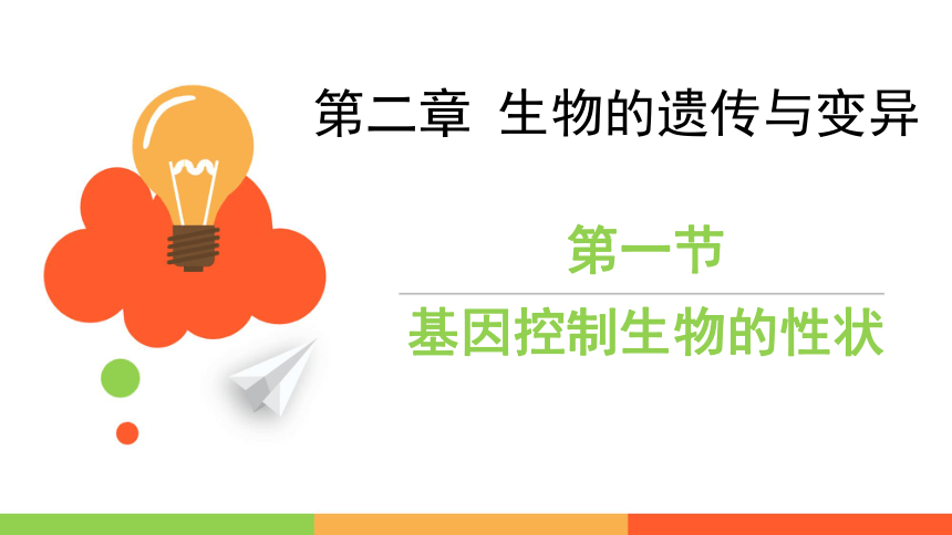 人教版生物八年级下册课件7-2-1基因控制生物的性状(共34张PPT+内嵌视频1个)