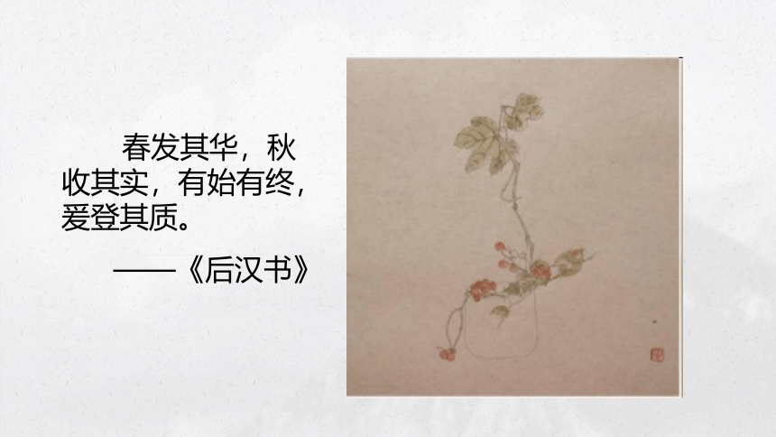 北师大版 六年级下册书法 16集字练习 课件（18张PPT）