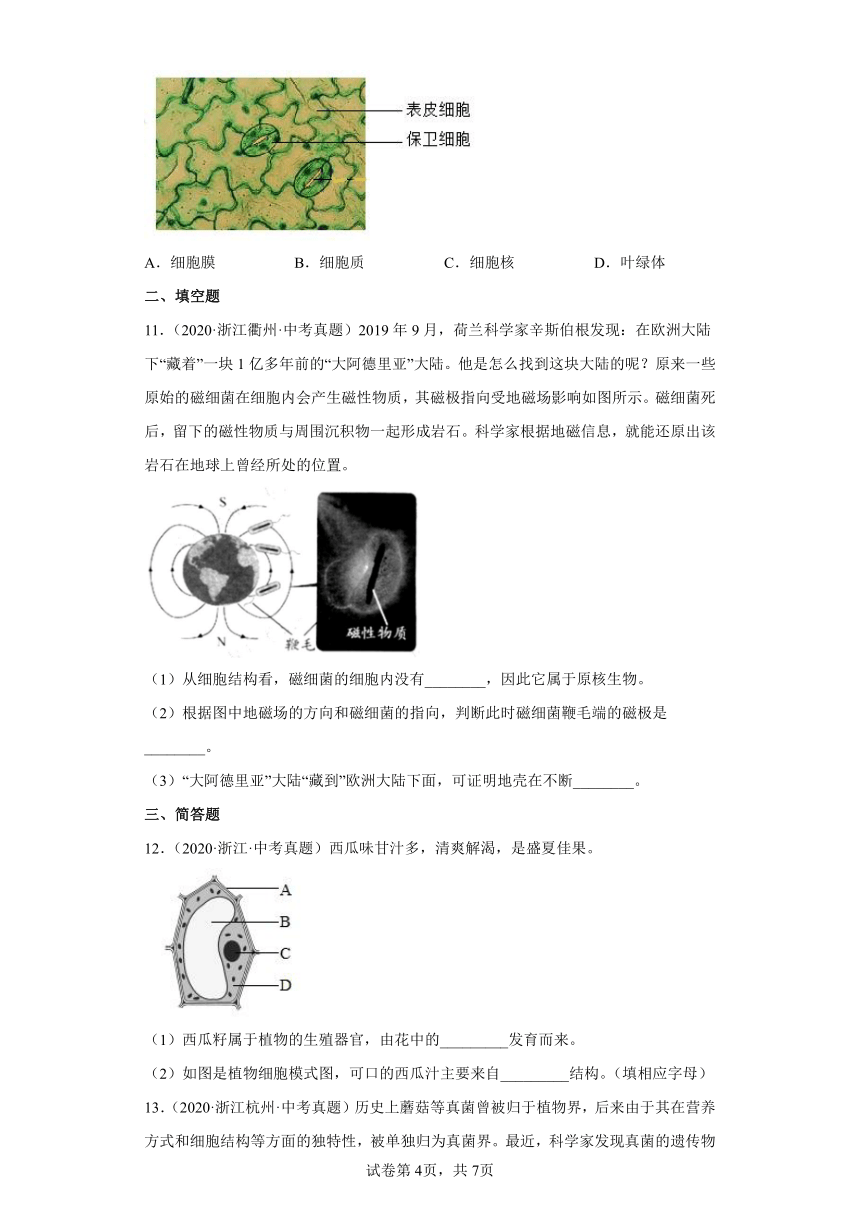 04细胞-浙江省各地区2020-2022中考科学真题汇编（含解析）