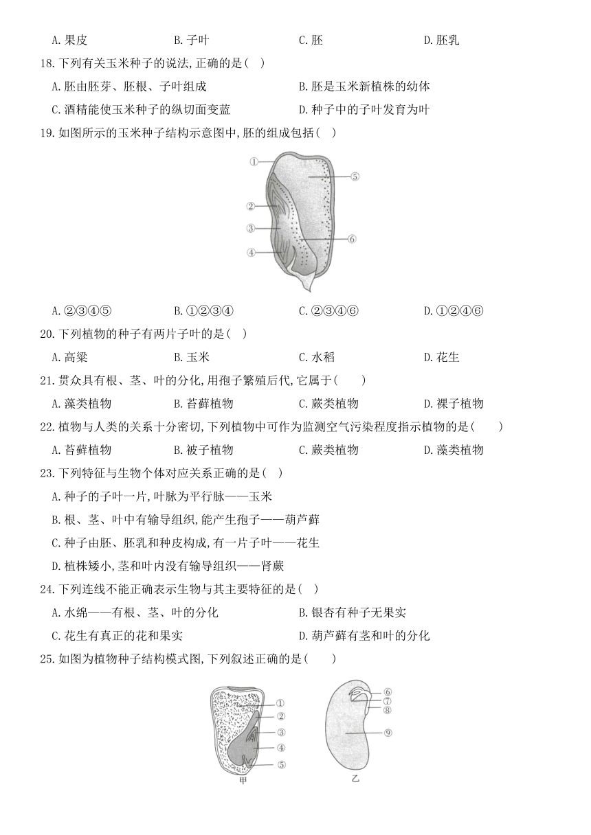 2020年秋季人教版七年级生物上册章节测评卷 第三单元   第一章  生物圈中有哪些绿色植物（word版含部分解析）