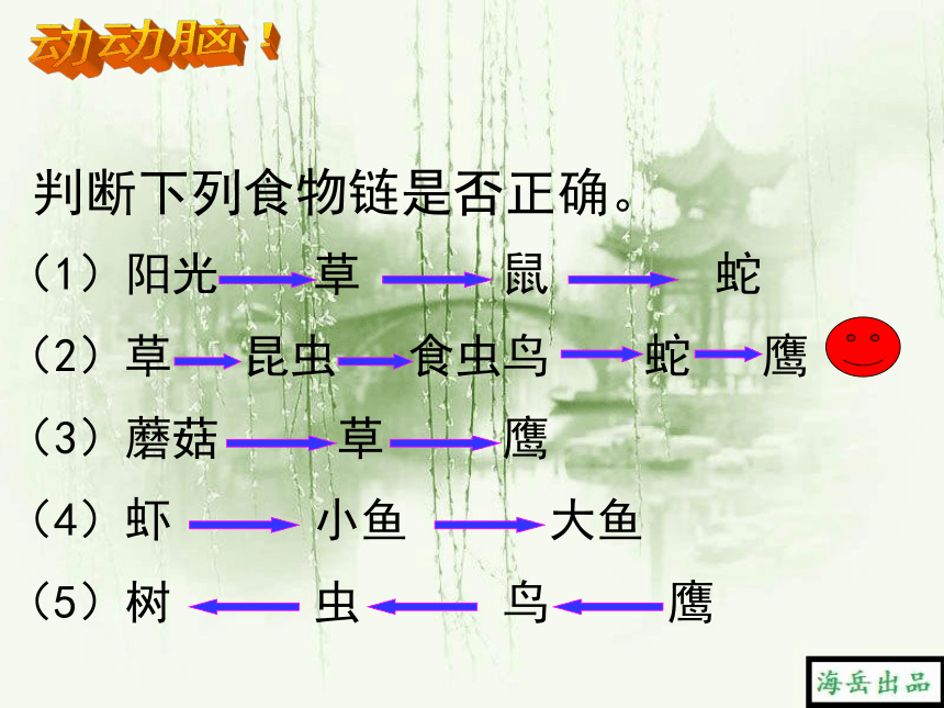 7.2.2食物链和食物网 课件(共18张PPT)2021-2022学年冀少版生物八年级下册