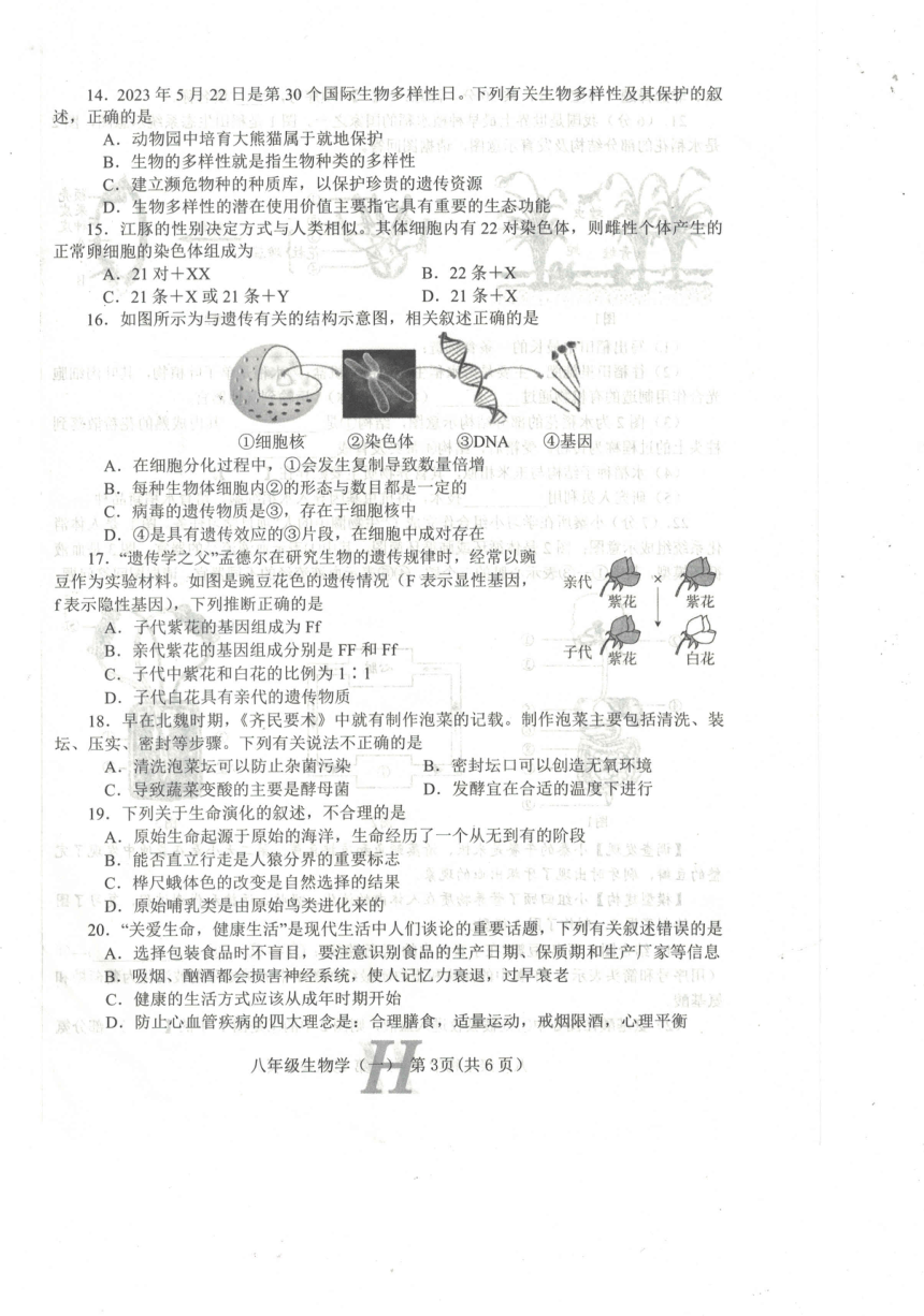 2024年河南省南阳市唐河县八年级中考模拟生物试题（一）（pdf版无答案）