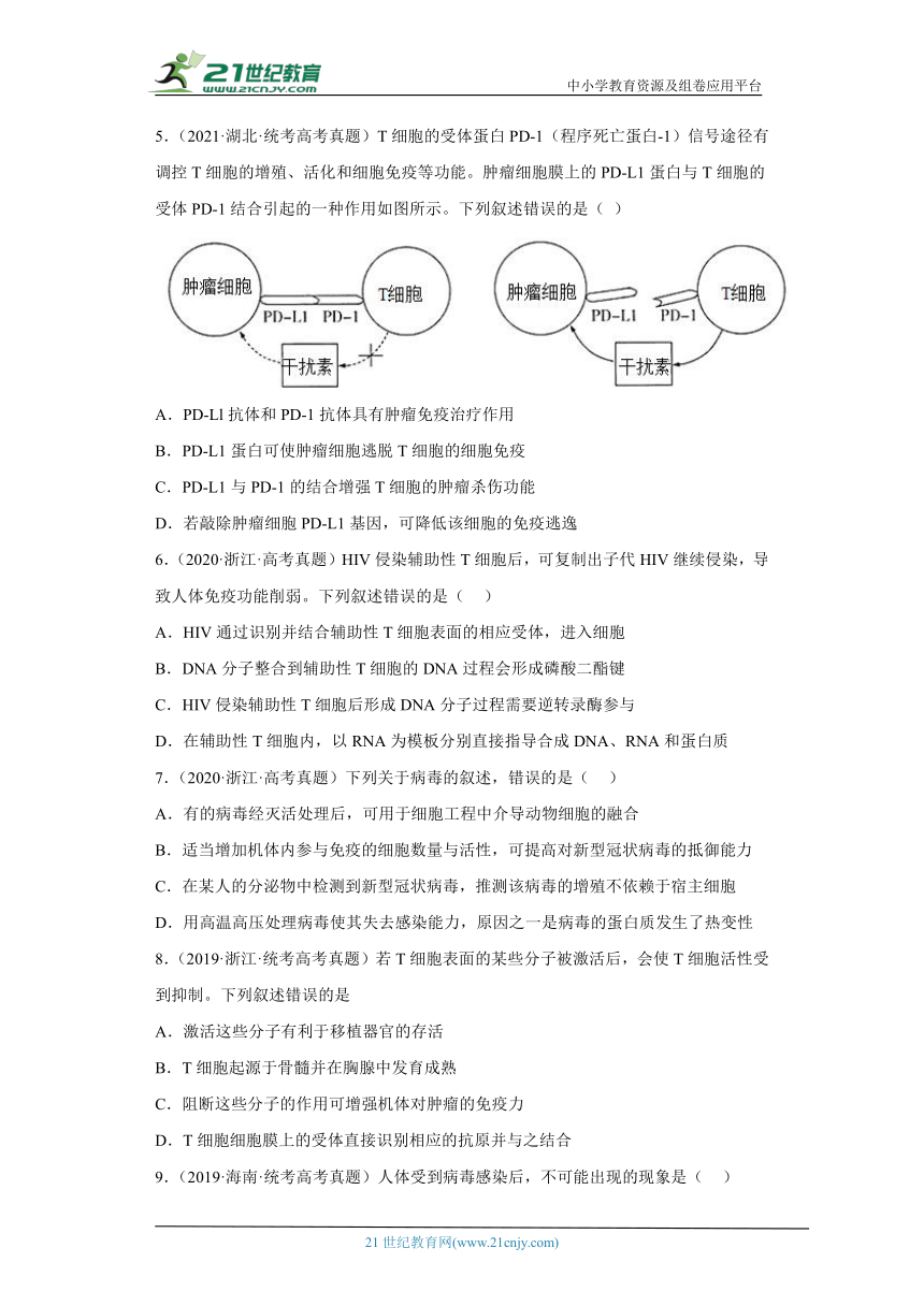 五年2018-2022高考生物真题按知识点分类汇编66-免疫调节-特异性免疫-细胞免疫（含解析）