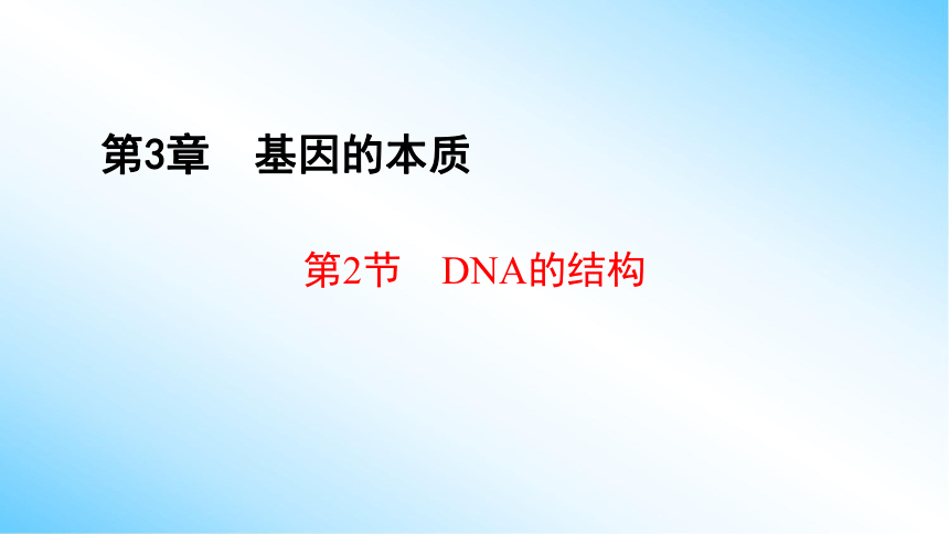 【课件版学案】3-2 DNA的结构 课 人教版2019必修2(共40张PPT)