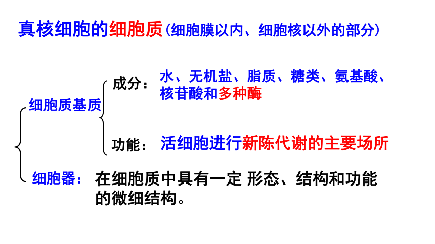 2021-2022学年高一上学期生物人教版必修一3.2细胞器之间的分工合作课件（44张）