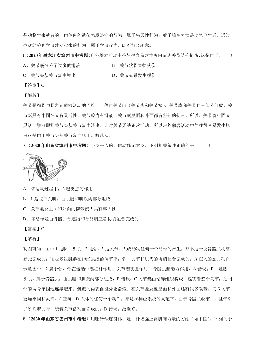 2020_2021学年中考生物真题汇编动物的运动和行为（PDF版含解析）