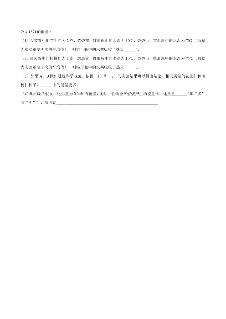 4.10.1 食物中能量的释放2024年同步练习卷（含解析）北师大版七年级下册