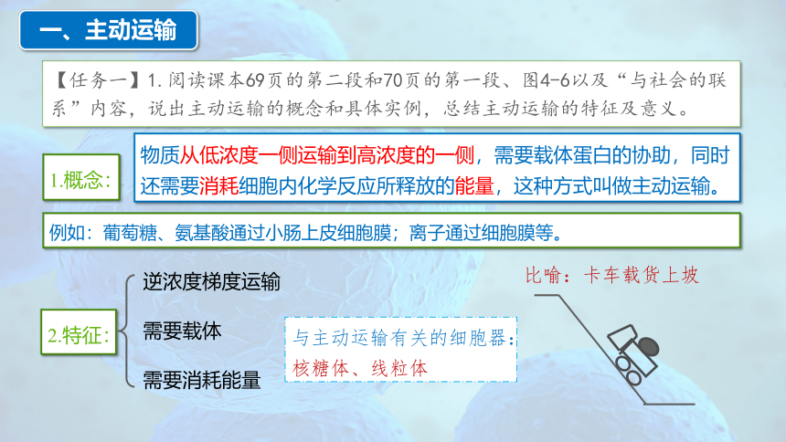 4.2 主动运输与胞吞、胞吐-高一生物课件（共29张PPT）（人教版2019必修1）