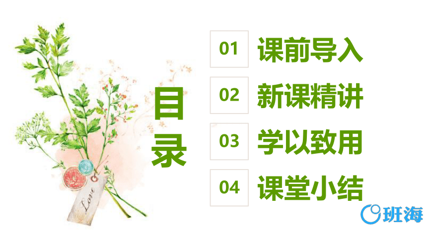 北师大(新)版六上 第六单元 3.比的应用【优质课件】