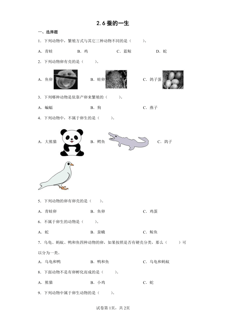 教科版（2017秋） 三年级下册2.7动物的繁殖 练习  （含答案）