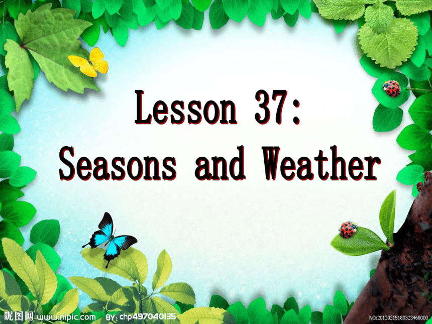 Unit 7 Lesson 37 Seasons and Weather 课件(共20张PPT)