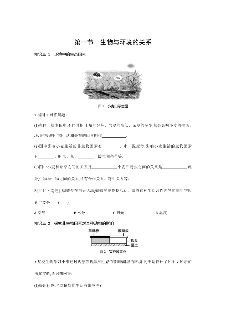 2021-2022学年人教版生物七年级上册1.2.1生物与环境的关系---同步练习（word版 含解析）