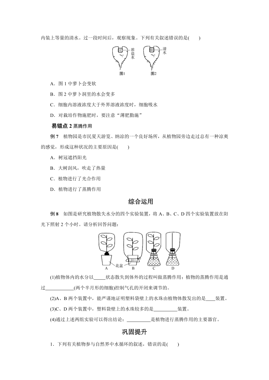 4.2水在植物体中的代谢同步练习  训练提升（含答案）