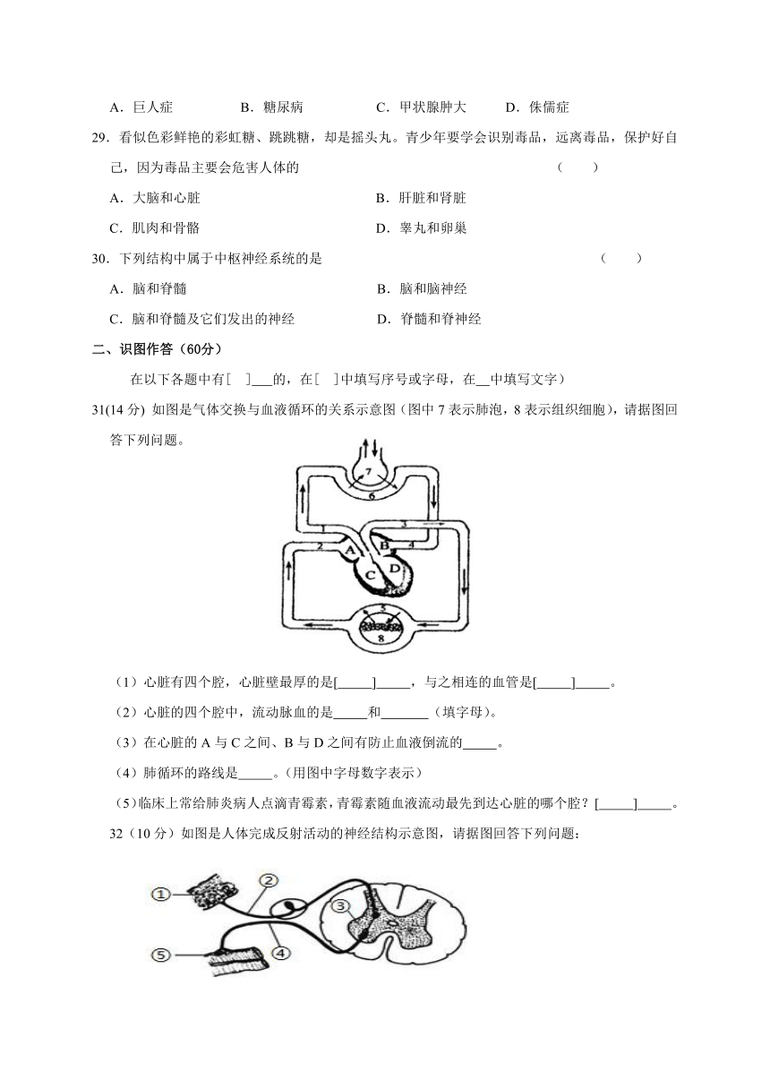 辽宁省抚顺市新宾县2020-2021学年七年级下学期期末教学质量检测生物试题（word版 含答案）