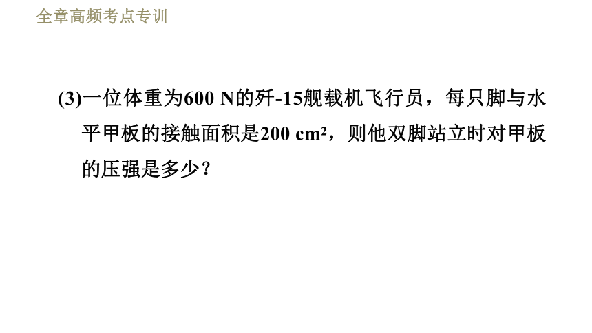 鲁科版八年级下册物理习题课件 第8章 全章高频考点专训  专训3  浮力的计算——平衡法（24张）