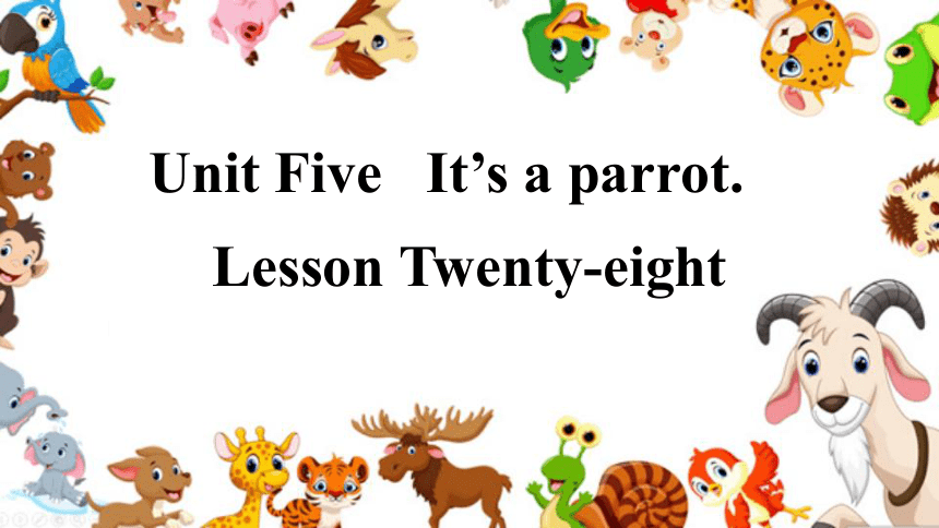 Unit5 It's a parrot.Lesson28课件（共17张PPT）