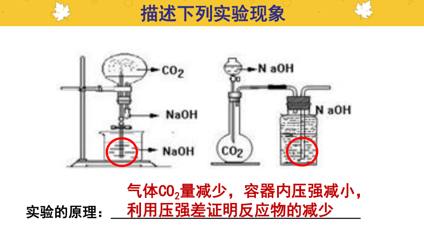 沪教版（上海）初中化学九年级下册 5.2 酸和碱的性质研究- 用实验证明CO2与NaOH发生了反应  课件（21张PPT）