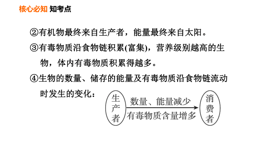 初中生物 人教版 七年级上册第三单元　第一章第二章 了解生物圈复习课件（36张PPT）