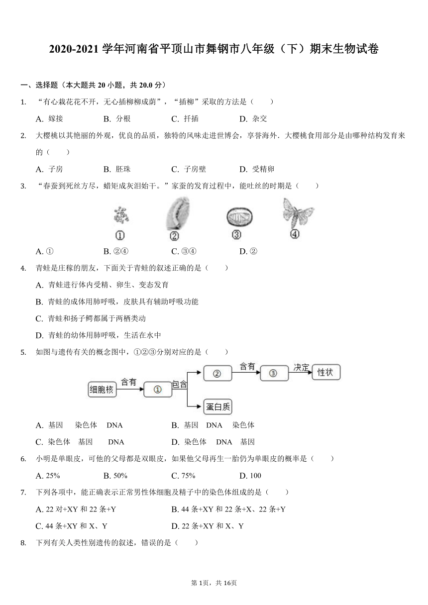 2020-2021学年河南省平顶山市舞钢市八年级（下）期末生物试卷（word版，含解析）